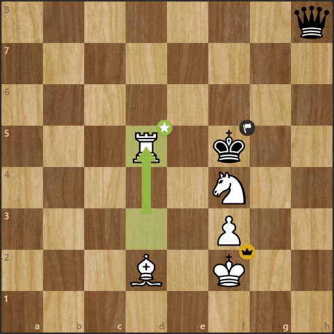 Chess GIF