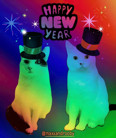 New Year Cat GIF