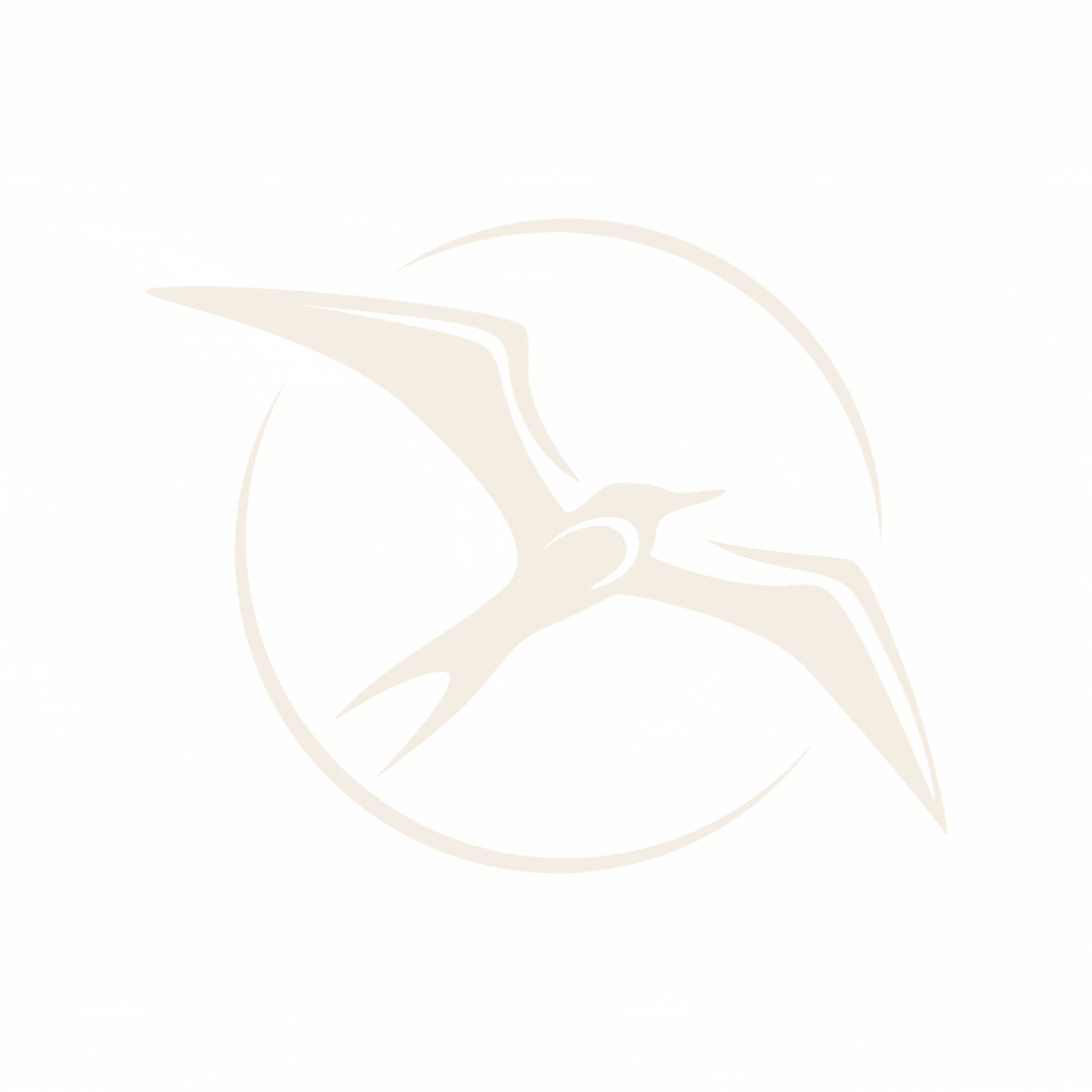 Bais Creative & Public Relations GIF