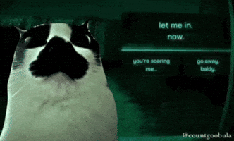 Cat Horror GIF