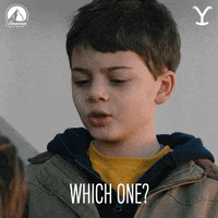 Choose Paramount Network GIF by Yellowstone