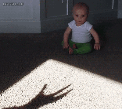 Baby Shadow GIF - Find & Share on GIPHY