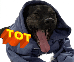 Tot GIF