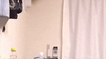Cat What GIF by DRODIAN™ BRAND