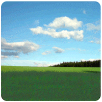 Garden Grass GIF by ccmdobrasil