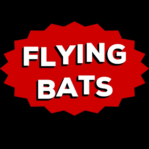 Flying Bats Football Club GIF