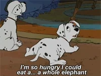 user selected gif to show the mood of hungry
