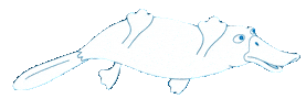 Platypus Sticker by Pod 7 kilo