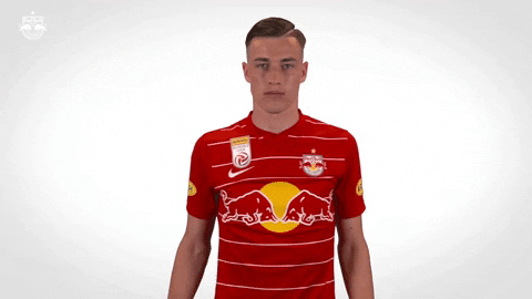 Giphy - Celebrate Red Bull GIF by FC Red Bull Salzburg