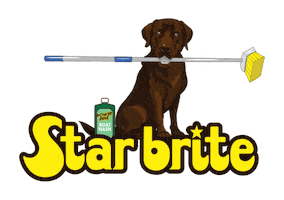 Dog Puppy Sticker by Star brite