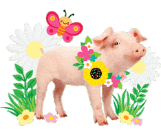 Kids May Sticker by Schoolgirl Style Classroom Decor