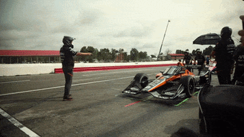 Go Go Go GIF by Arrow McLaren IndyCar Team