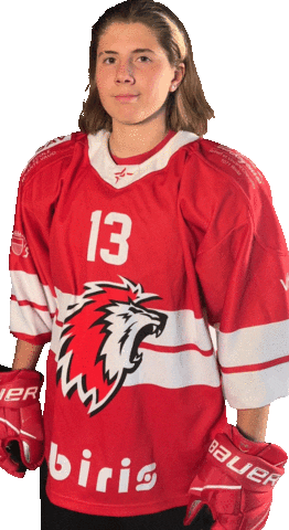 Celebration Hockey Sticker by HCFL