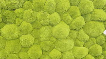 GIF by Staffbase