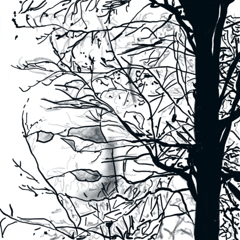 Face Tree GIF
