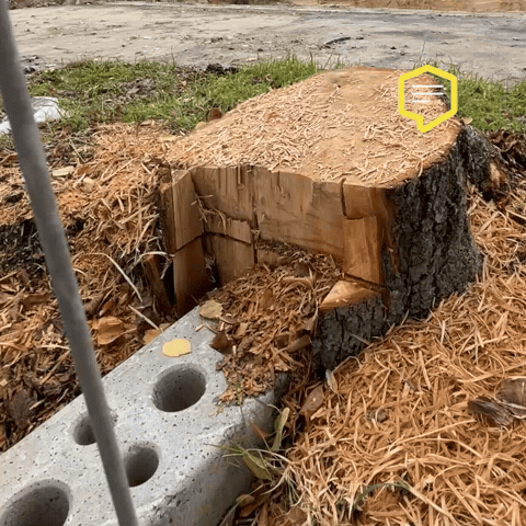City What GIF by Linz News