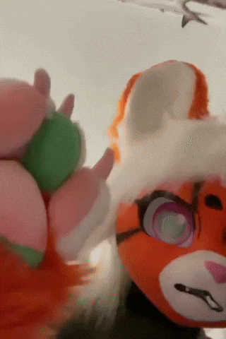 Piptoyger GIF