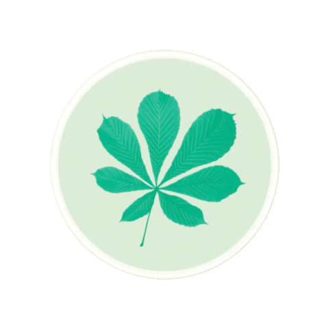 Elisabethstift Sticker