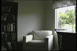 Cat Wall GIF by AFV Pets