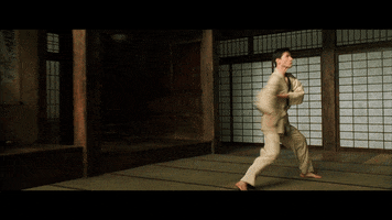 martial arts film GIF by Hollywood Suite
