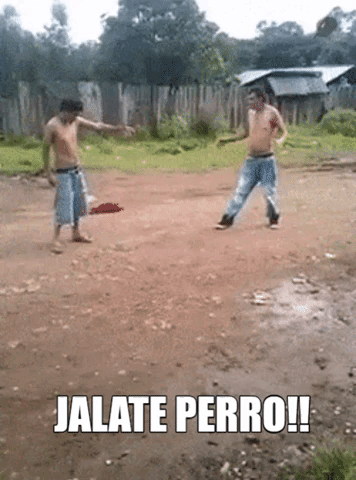 Ala Verga Me Vale Verga Perro GIF