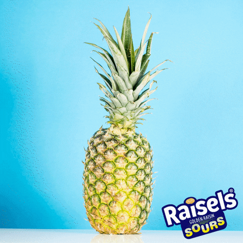 Happy Orange GIF by Raisels
