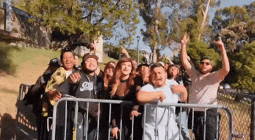Group Vibing GIF