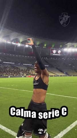 Serie C Vasco GIF