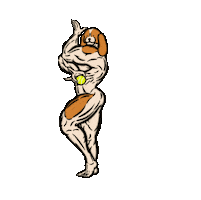 Animated Sticker