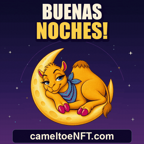 Good Night Buenas Noches GIF by CamelToe