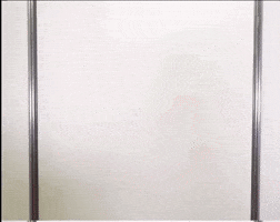 Mina Misamo GIF
