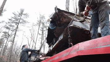 Trailer Jump Down GIF by JC Property Professionals