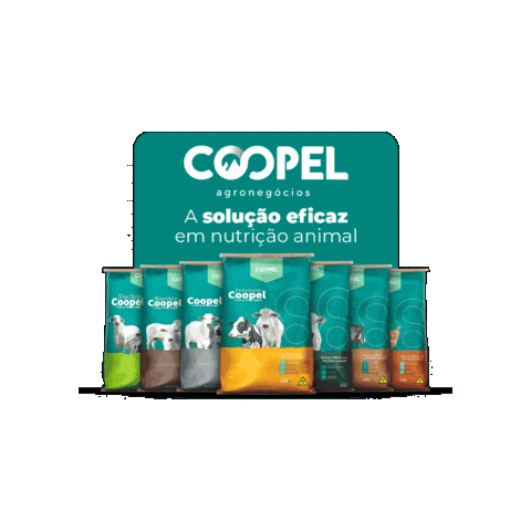 Gado Corte Sticker by Coopel Agronegócios