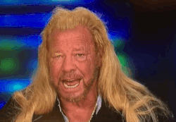 cowardly lion
