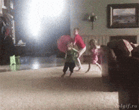 Funniest Gif Ever - Reaction GIFs