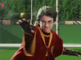 Happy Harry Potter GIF by Piñata Farms: The Meme App