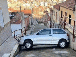 Car Niche GIF