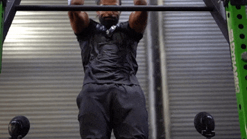 GIF by FITLIGHT Training