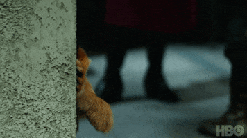 Golden Monkey Hbo GIF by His Dark Materials