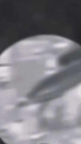 Woman GIF