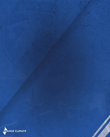 v.v. Neerlandia'31 GIF