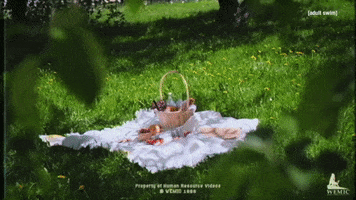 Angry Dream Corp Llc GIF by Adult Swim