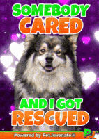 Awesome Boi Pupper Dog Pj GIF by PetJuvenate - PJ