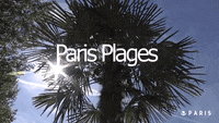 paris-t-plages-nhuUltNfyXsTm