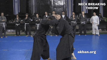 ninjutsu neck breaking throw GIF by AKBAN Academy