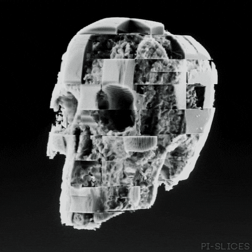 Wither Black And White GIF by Pi-Slices