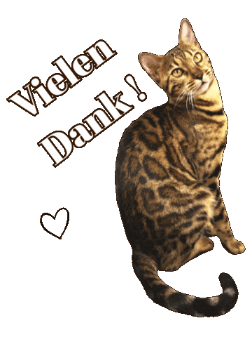 Bengal Cat Thank You Sticker by Kitty Fuchs