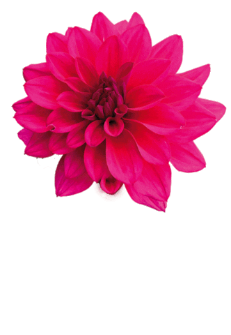 Fattoria delle Erbe Sticker