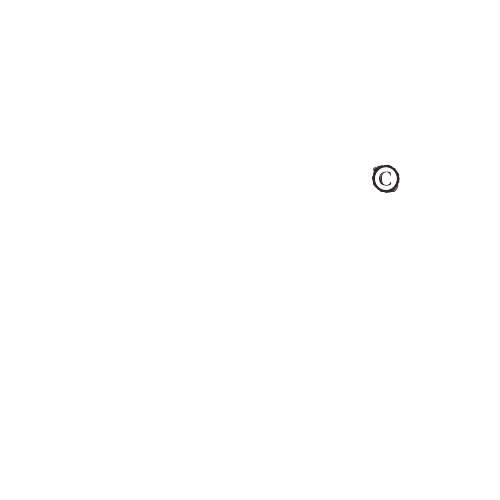 Celsus Argentina Sticker