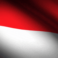 Indonesia Flag Sport GIF by xponentialdesign
